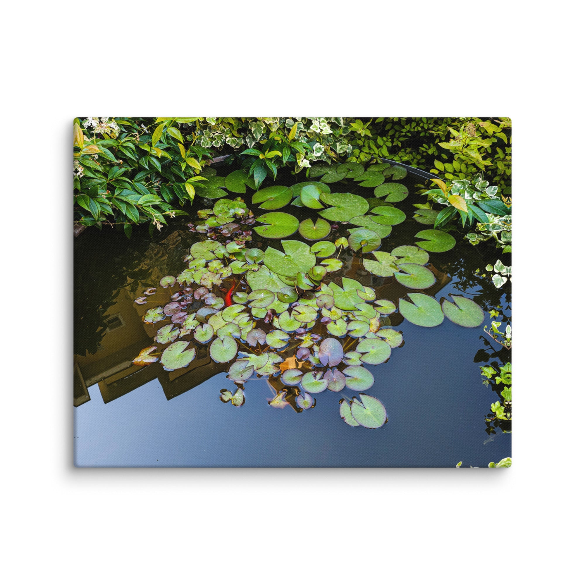 Canvas of a Pond and Lily Pads in Darfo Boario Terme Italy - Rosetta Creative Boutique